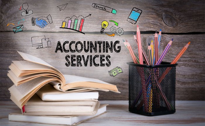 Accounting services business small providers selecting financial